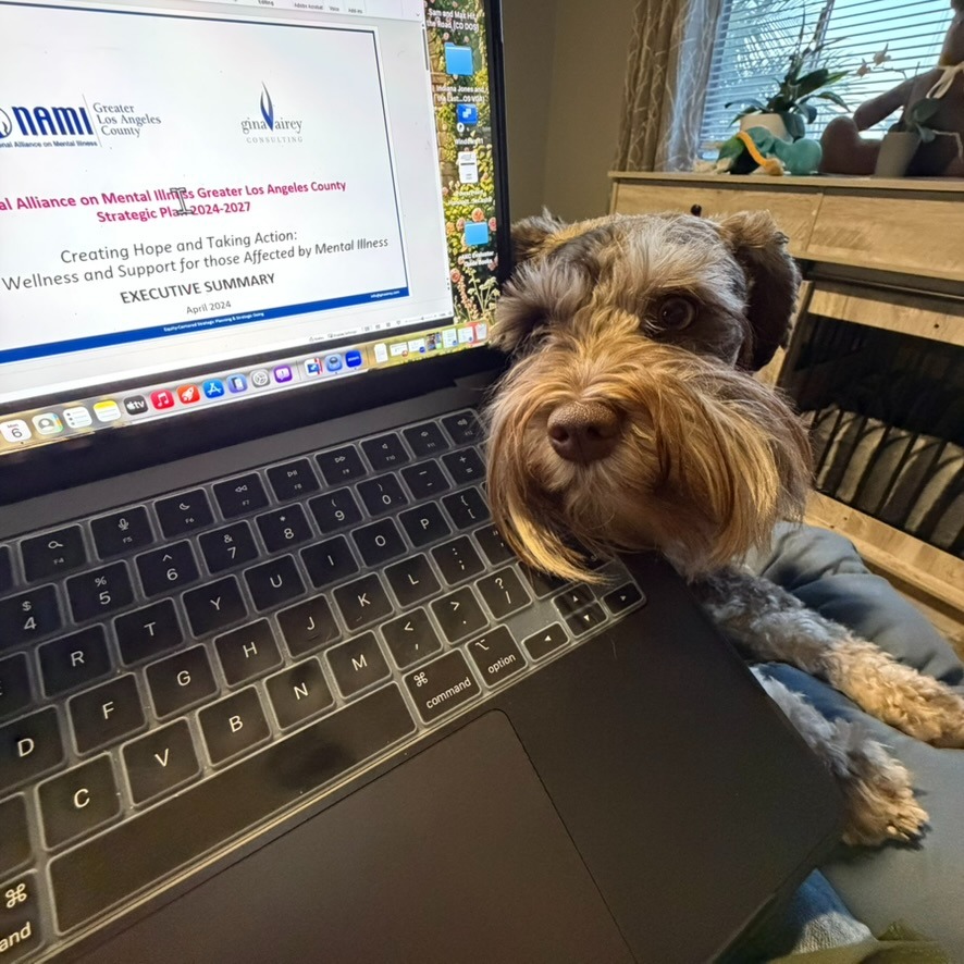 NAMI Board Meeting Assistant