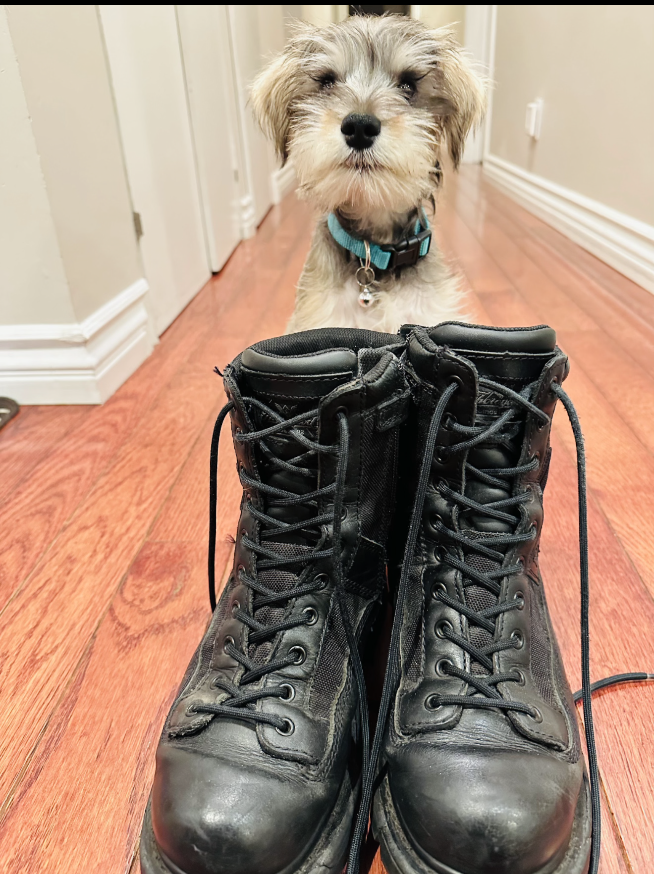 Big Boots To Fill