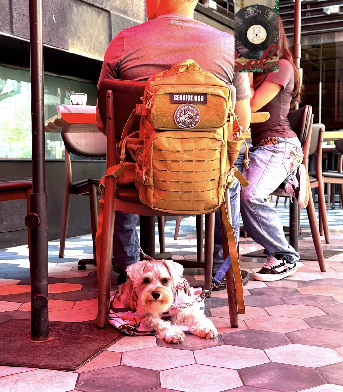 Martini, the service dog who changed a first responder's life